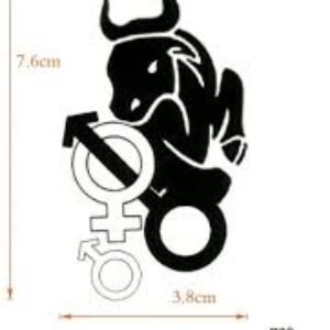 Foto del profilo di bull